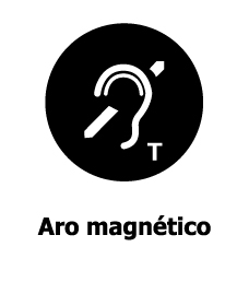 Pictograma de Aro magnético