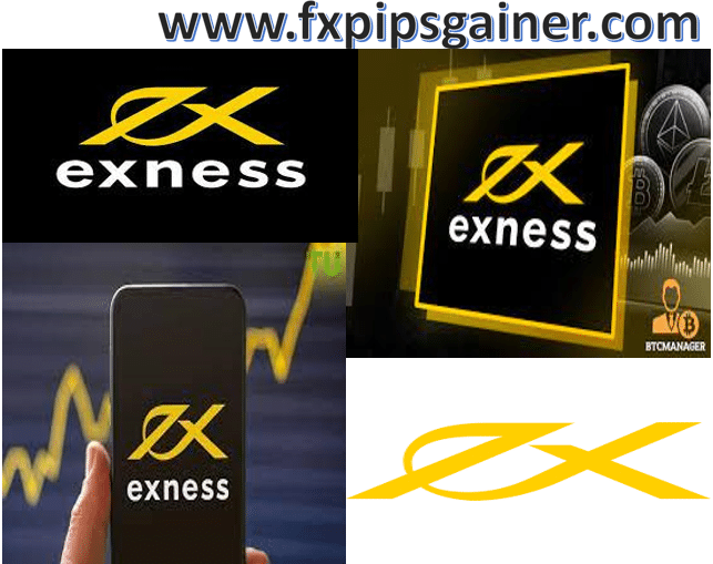Guide to the Exness Registration Page Your First Step in Online Trading