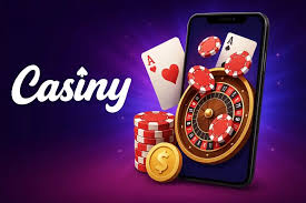 Discover the Benefits of the Casino Casiny Affiliate Program 13