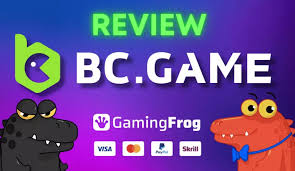 Discovering Excitement and Opportunity with bc-game