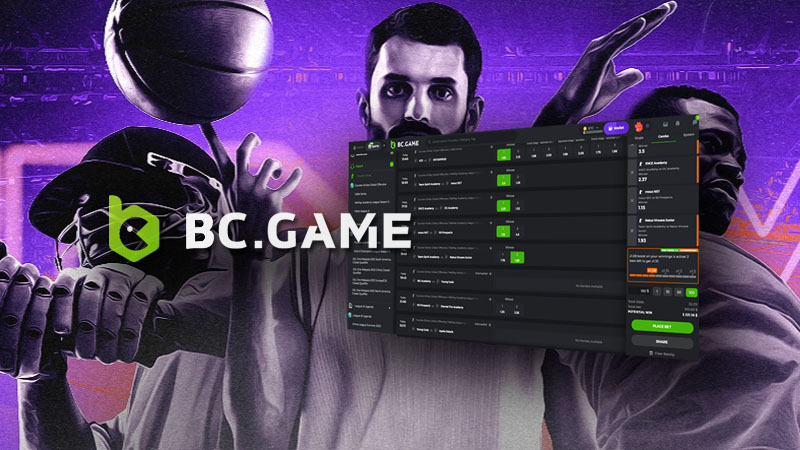 Discovering Excitement and Opportunity with bc-game