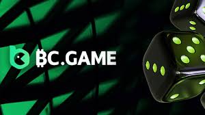 دليل إيداع BC.GAME خطوات بسيطة لإجراء الإيداع دليل إيداع BC.GAME خطوات بسيطة لإجراء الإيداع