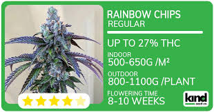Discover the Best Autoflower Seed Bank for Your Growing Needs