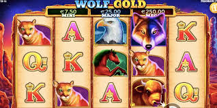 매혹적인 생태계 Wolf Gold의 세계
